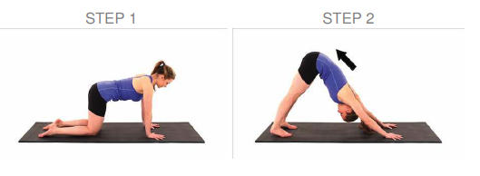 downward facing dog stretch example