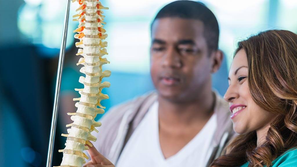 medical professional examining spine skeleton with patient